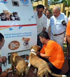 MERSİN’DE SOKAK HAYVANLARI AÇ KALMAYACAK