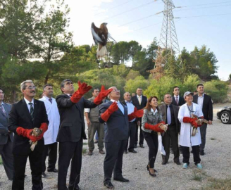 YABAN HAYVANLARI DOĞAYA SALINDI