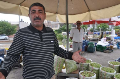 ZEYTİNCİLER PAZAR YERİ İSTİYORLAR