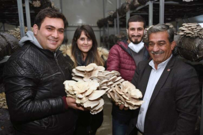 BÜYÜKŞEHİRLE EMEKLER KAZANCA DÖNÜYOR