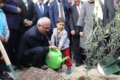 ŞEHİTLERİMİZ ZEYTİN ORMANINDA YAŞAYACAK
