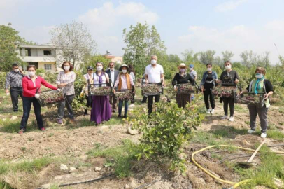 İŞÇİ BAYRAMINDA SALEP HASADI