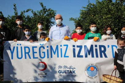 GÜLTAK, ÇOCUKLARLA BİRLİKTE NARENCİYE TOPLADI
