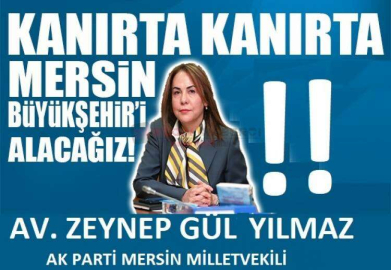 ZEYNEP GÜL YILMAZ