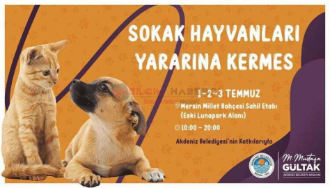 BAŞKAN GÜLTAKTAN SOKAK HAYVANLARI İÇİN ÇAĞRI