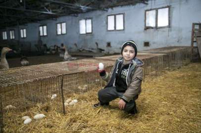 BÜYÜKŞEHİR’İN KAZANÇ PROJESİ ‘YUMURTALARINI’ VERMEYE BAŞLADI