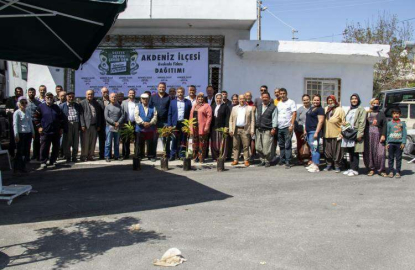 BÜYÜKŞEHİR, 6 İLÇEDE 192 ÜRETİCİYE 3 BİN 865 AVOKADO FİDANI ULAŞTIRILDI