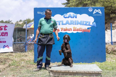 Büyükşehir Bünyesinde Bir İlk: ‘Köpek Eğitim Alanı’
