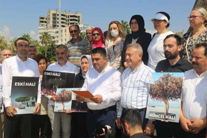 AK Parti Mersin İl Başkanı Cesim Ercik'ten Mersin Büyükşehir Belediye Yönetimine 'Ağaç' Tepkisi