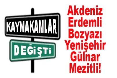 Kaymakamlık Kararnamesi Yayınlandı 6 İlçeye Yeni İsimler