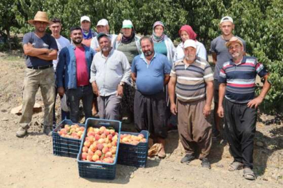 Şeftali, Dalında 2 lira, Markette 18 Lira