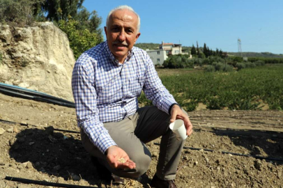 Şevketi Bostan Tohumları Toprakla Buluşturuldu