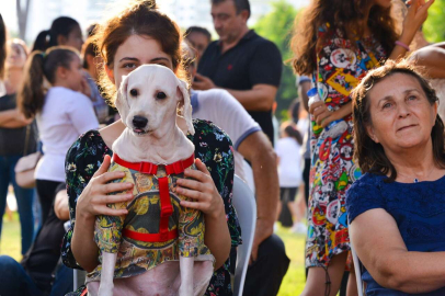 Patili Dostlarımızın Festivali 9 Ekim’de