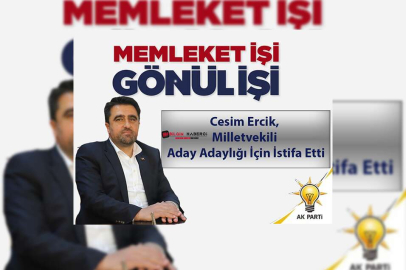 Cesim Ercik, Milletvekili Aday Adaylığı İçin İstifa Etti