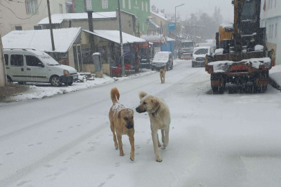 “Toroslar’dan Kartpostallık Manzaralar”