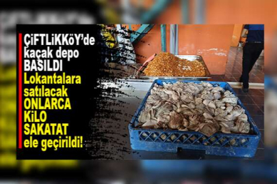 Çiftlikköyde'ki Kaçak Sakatat Deposuna Baskın