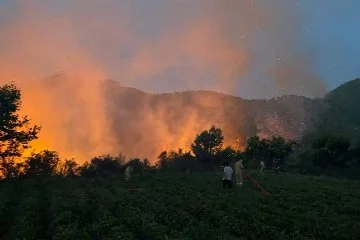 Anamur’da Orman Yangını