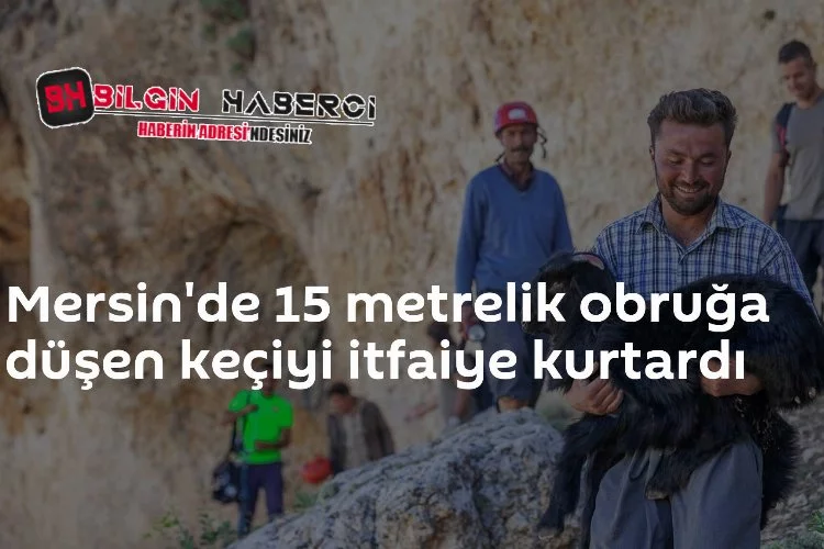 Mersin'de 15 Metrelik Obruğa Düşen Keçiyi İtfaiye Kurtardı