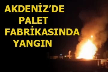 Mersin'de Palet Fabrikasında Korkutan Yangın